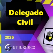 DELEGADO CIVIL  - G7 JURÍDICO 2025